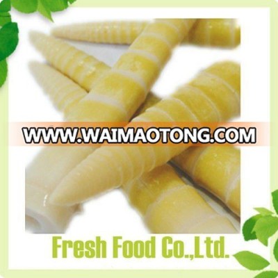 Canned bamboo shoot in brine